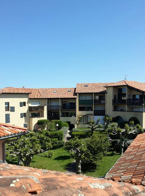 Vue du jardin depuis un des vélux