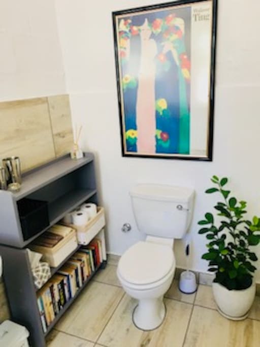 Bathroom with shelf space and plenty of reading material
