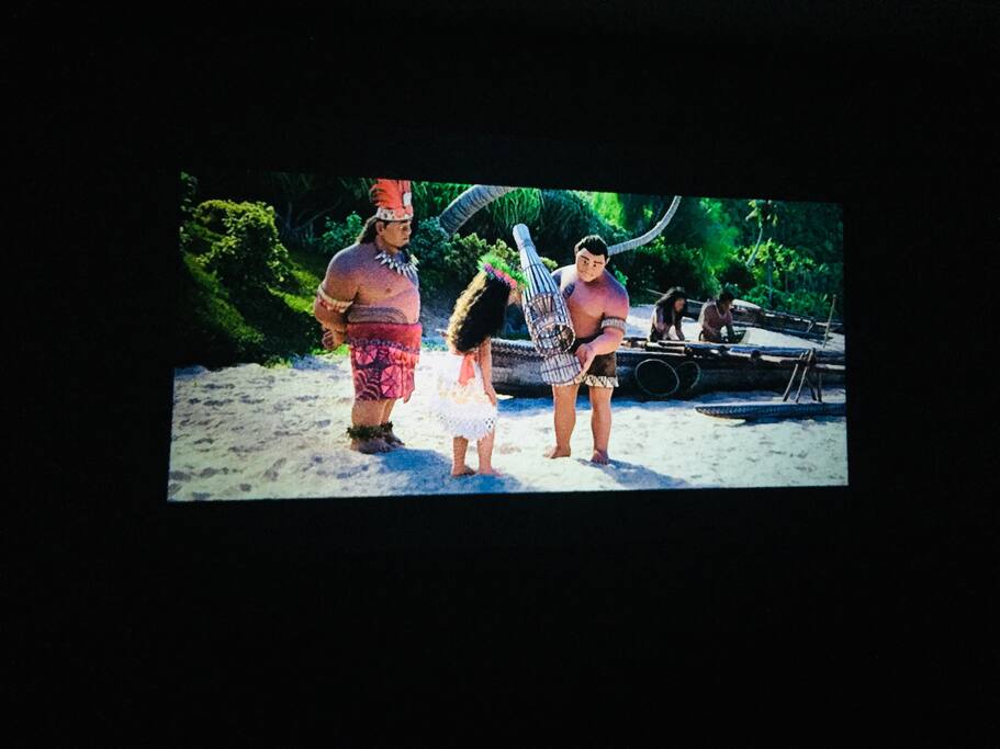 Over 100 inch Theater Experience with Netflix and Amazon Videos right in your room!
