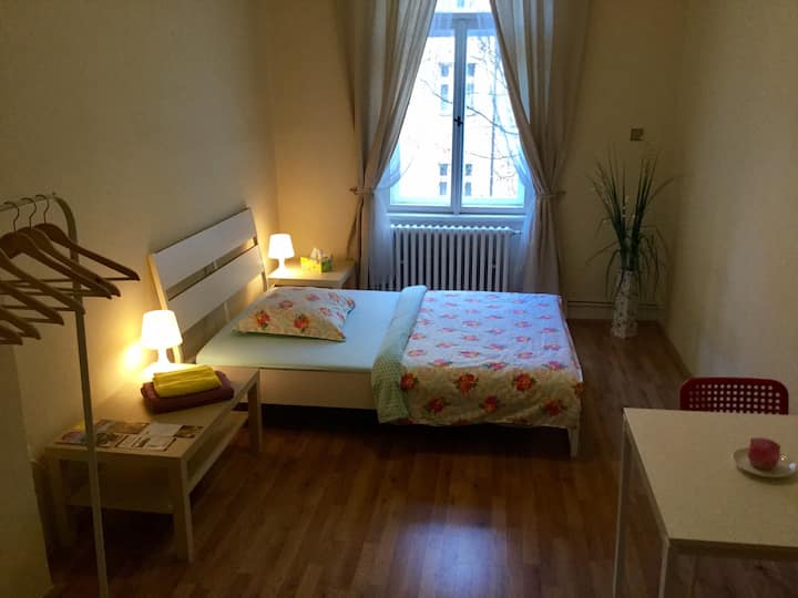 Prague Holiday Rentals & Homes Czechia Airbnb