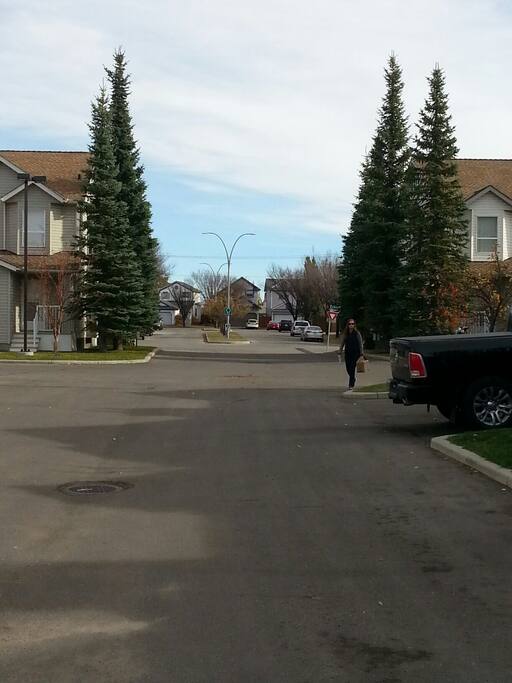 street view