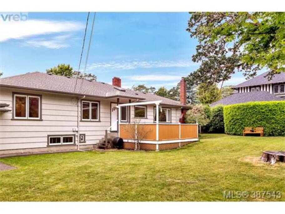 Back yard deck and yard