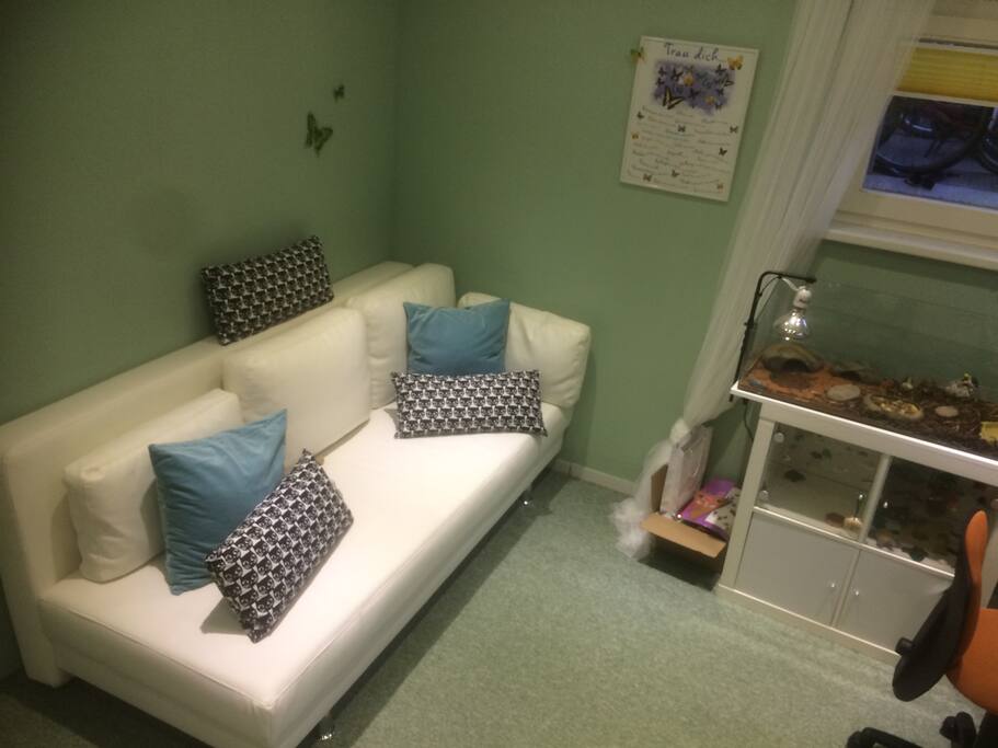 Zimmer 1 mit Schlafsofa und Schildkrötenterrarium