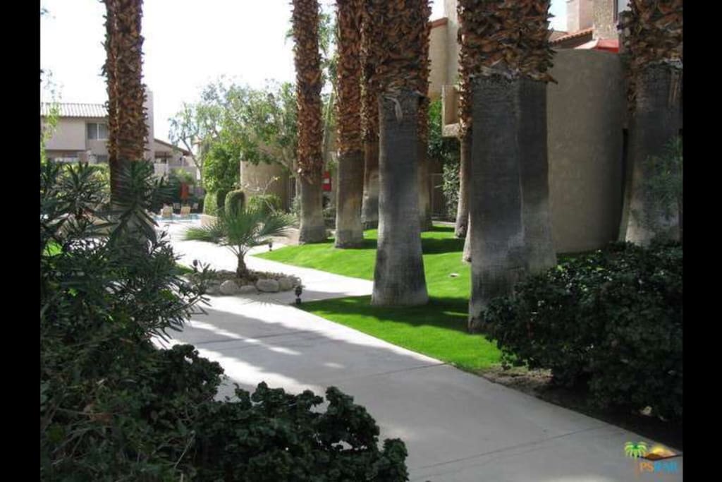 Palm trees provide shade along the paths of this private but central compound.