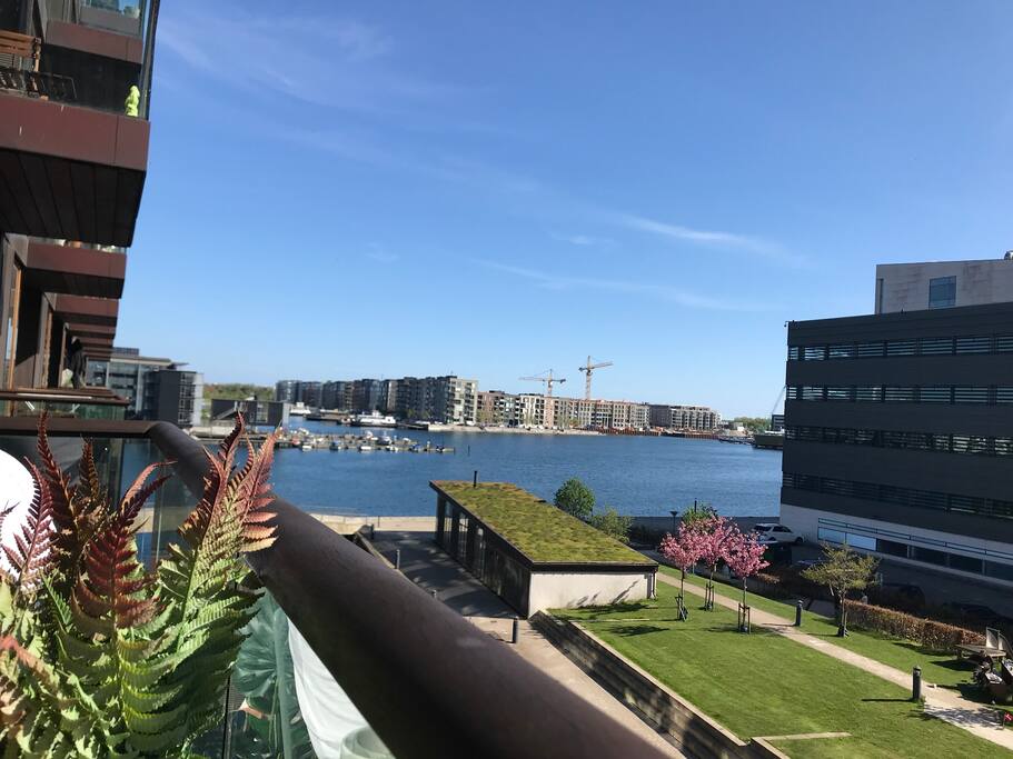 Super good view from the big balcony!