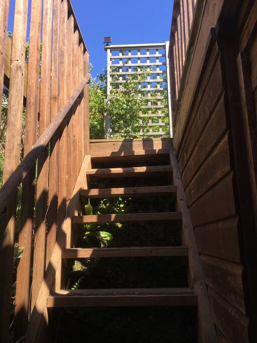 Outdoor steps up to the accommodation