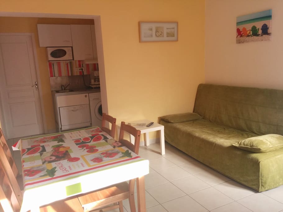Le salon et au fond la cuisine avec plaque à induction, lave vaisselle, lave linge, micro onde...