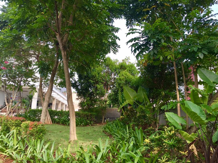 Jogging track view