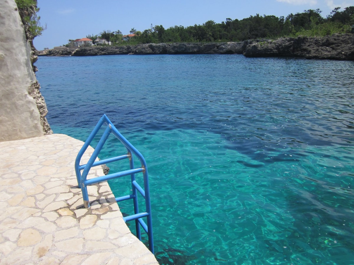 A blue metal ladder leads into clear turquoise water, which reflects sunlight. The surrounding rocky shore features lush greenery along the edge, and a distant view of a residential area is visible on the cliffs above.