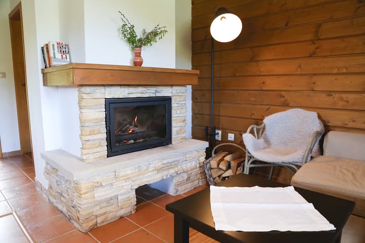 مدفأة في غرفة المعيشة