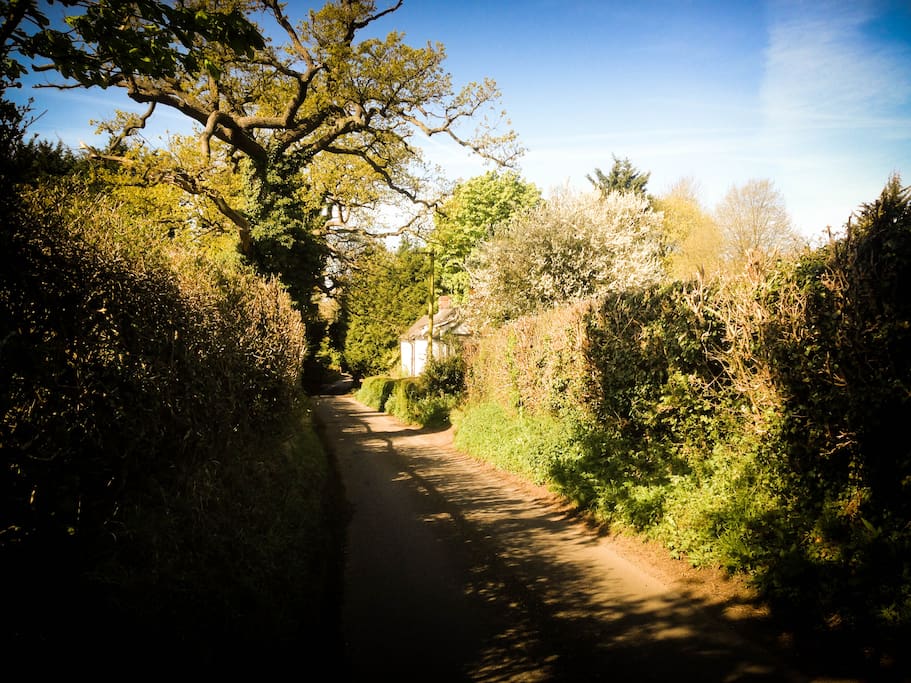 View from up the country lane