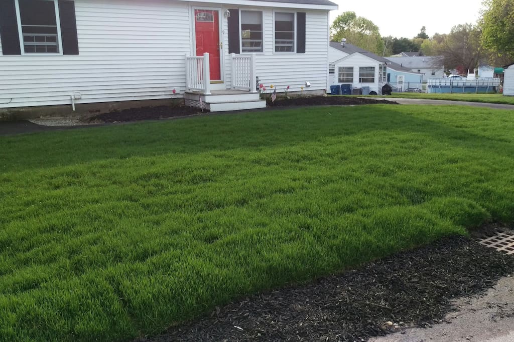 Front lawn -