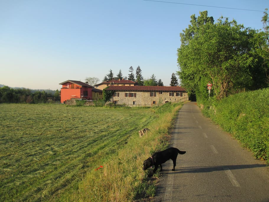 View from cycling and pedestrian path