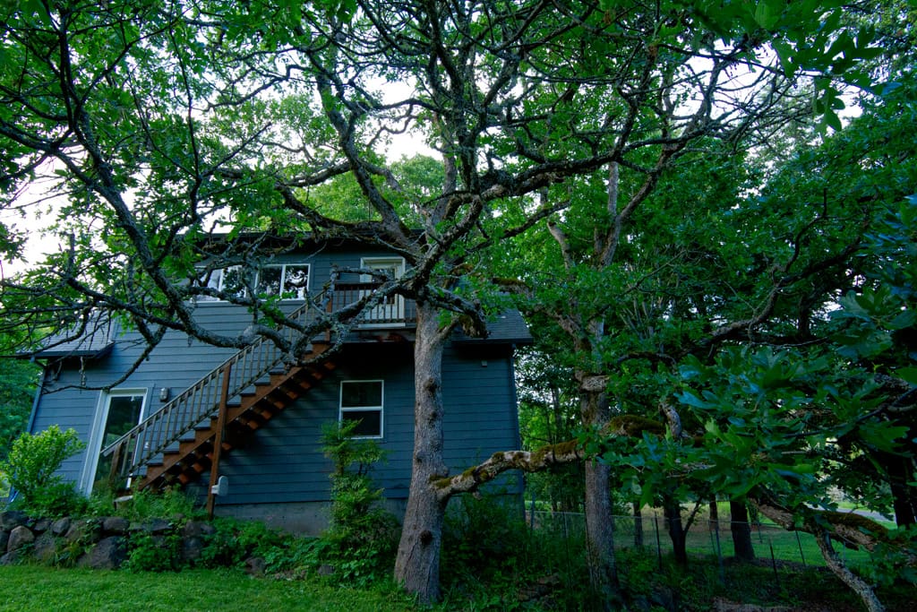 Treetop Loft perched above the garage among oaks