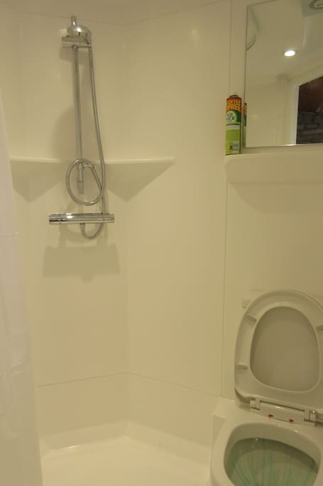 Shower in Wetroom