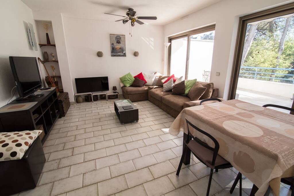 Pièce à vivre 23 m²