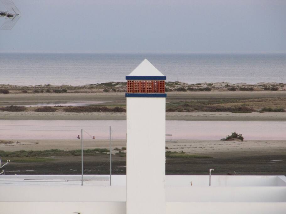 View from the roof terrace