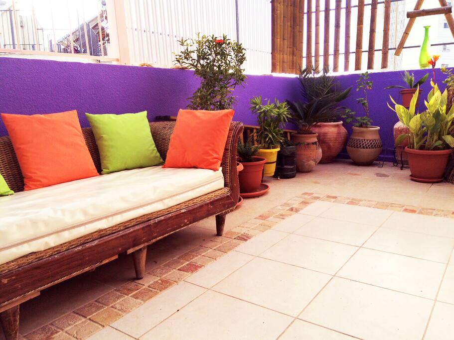 the roof-balcony