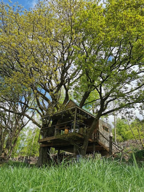 Hilltop Treehouse
