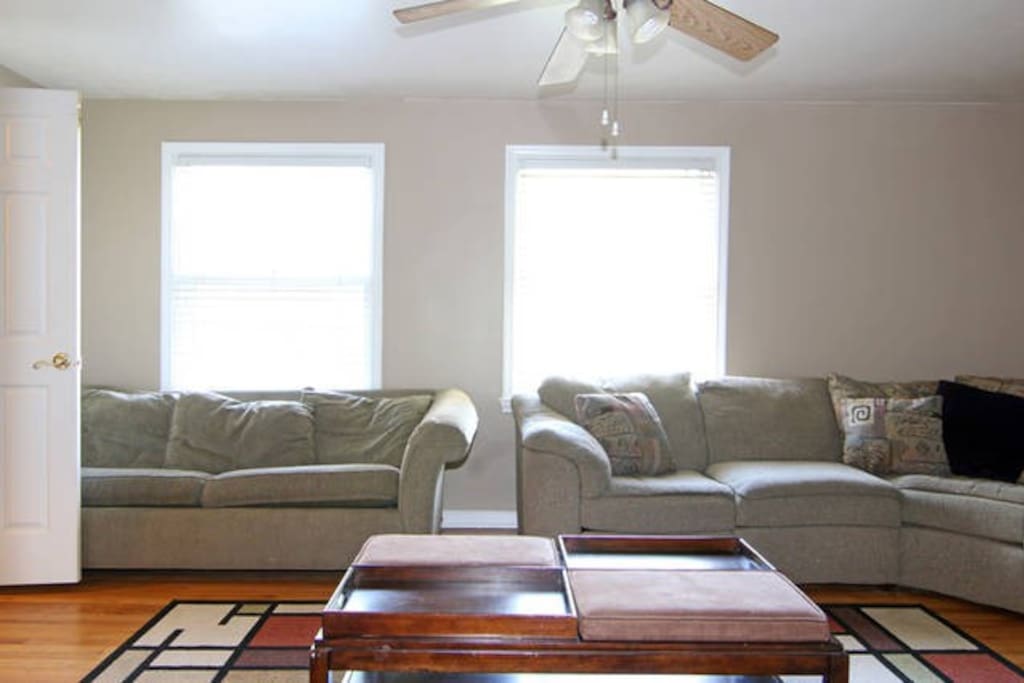 Couch on the right has a full pull out bed