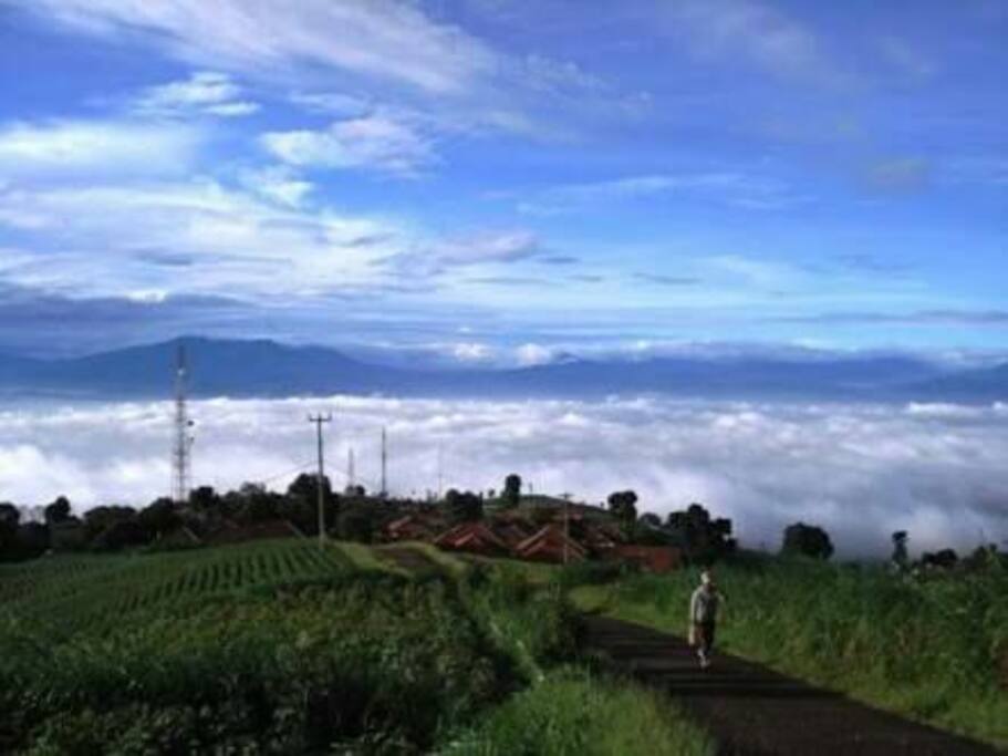 Wana Wisata Oray Tapa
