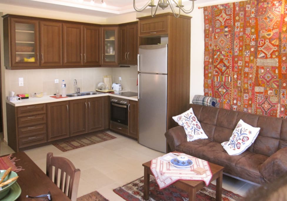 fully equipped kitchen with high end appliances