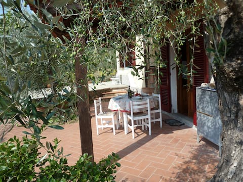 La tancherina, Tuscan heart