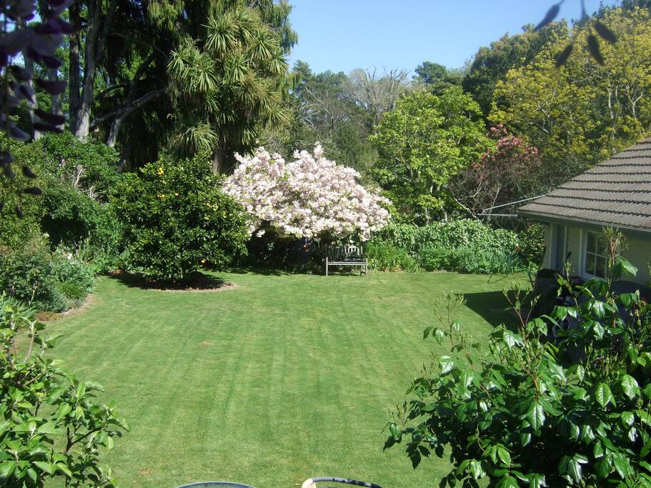 Our rear garden. Backs on to the Queens Gardens