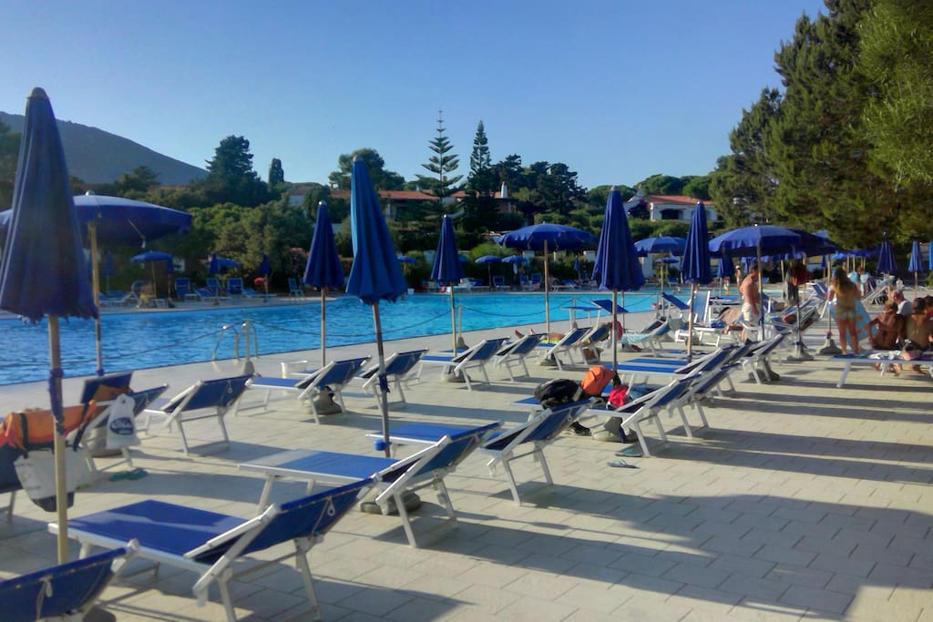 Pool & beach umbrella