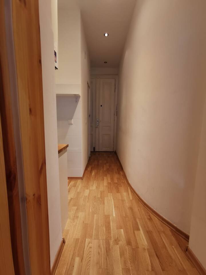 Altbauwohnung In Wien Apartments For Rent In Vienna Wien Austria