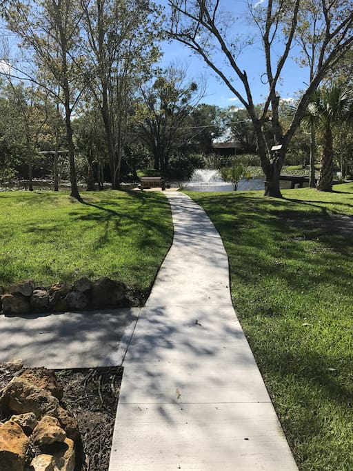 Our beautiful pond
