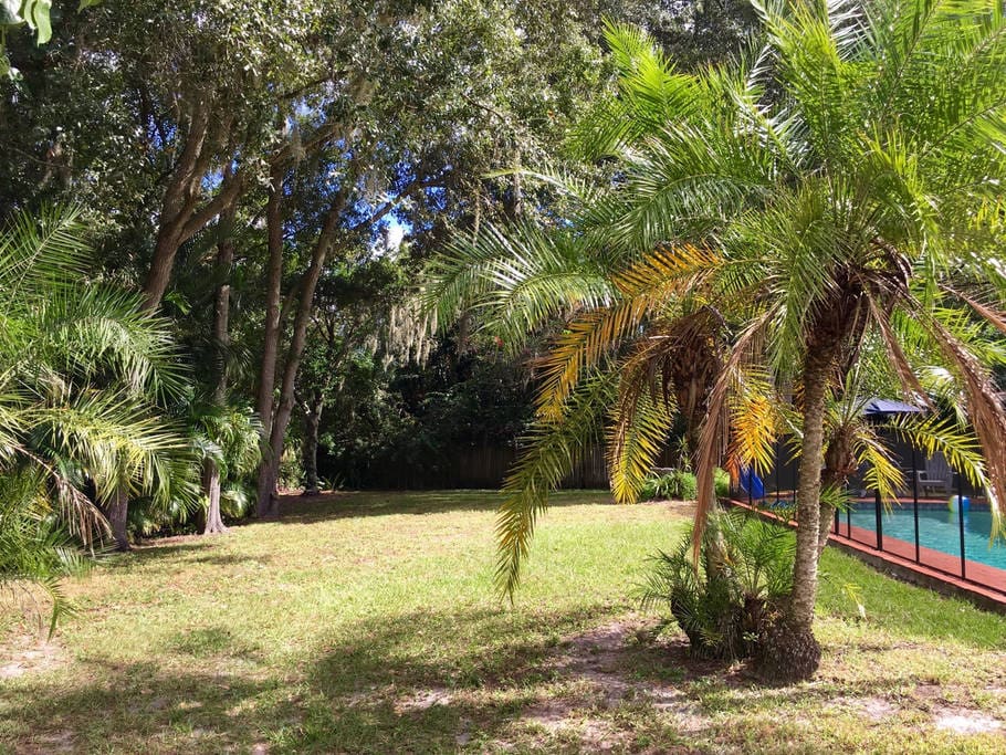 Big back yard you are welcome to play in
