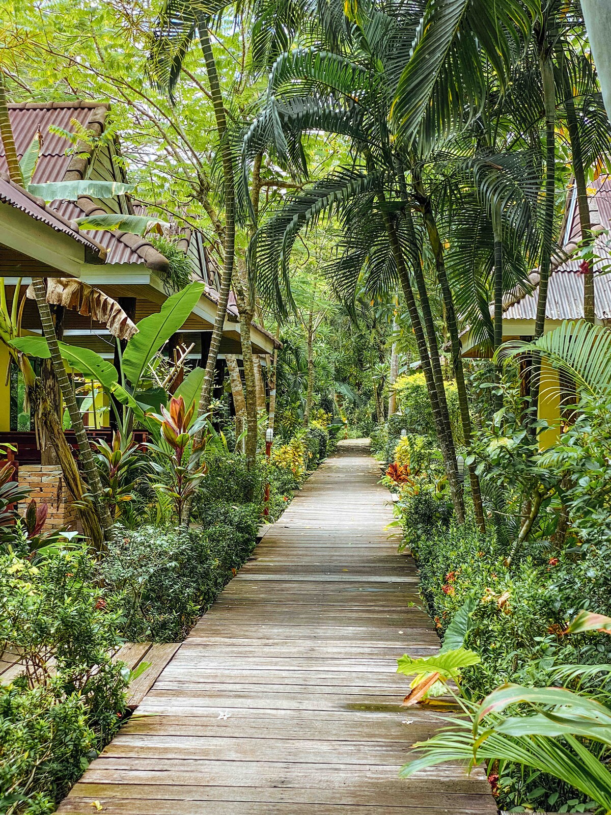 A wooden pathway meanders through a lush landscape, flanked by tropical plants and trees. Bright foliage surrounds the pathway, leading toward charming cabins set among the greenery.