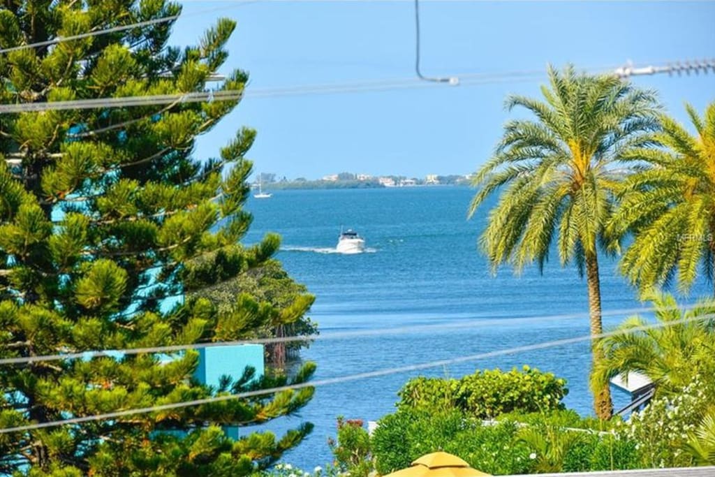 Sarasota Bay view from house.