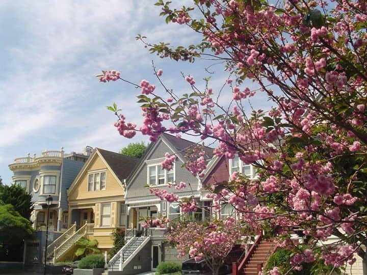 Idyllic Garden Apartment on Duboce Park Apartments for Rent in San Francisco, California