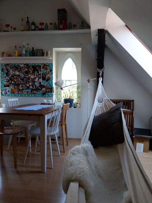 Living Room With Hammock