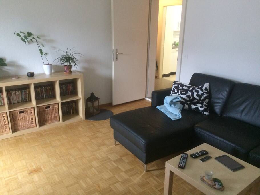 Wohnzimmer / Livingroom