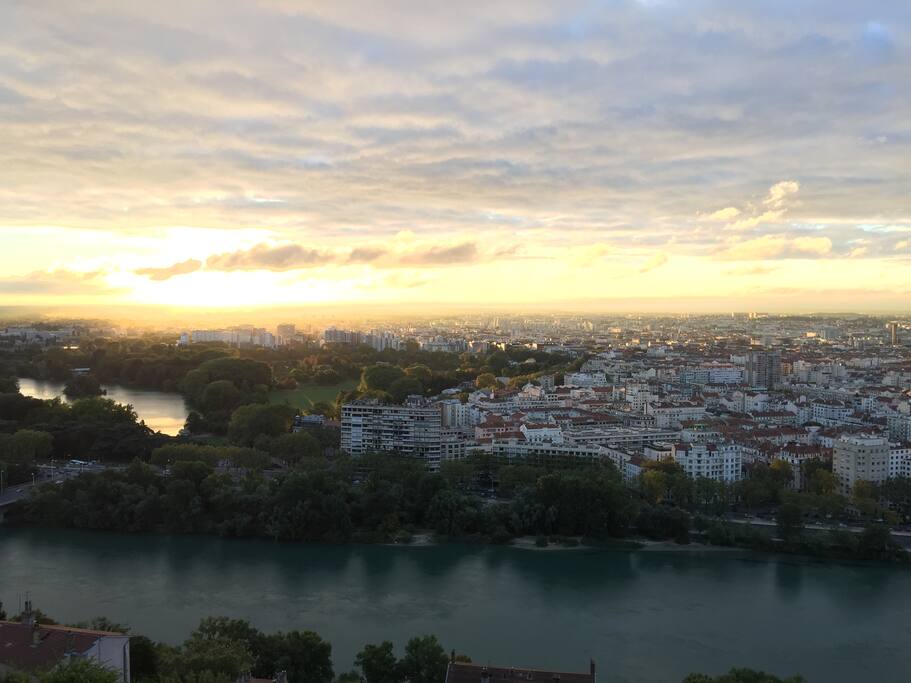 Vue sur le parc de la tête d'or et son lac