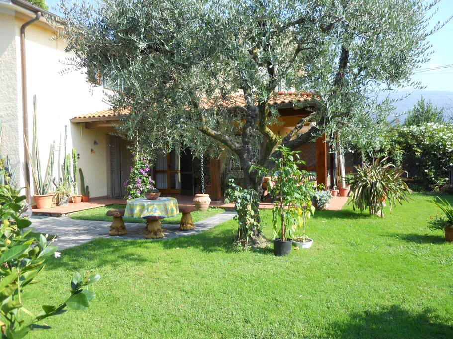 Esterno/giardino/veranda