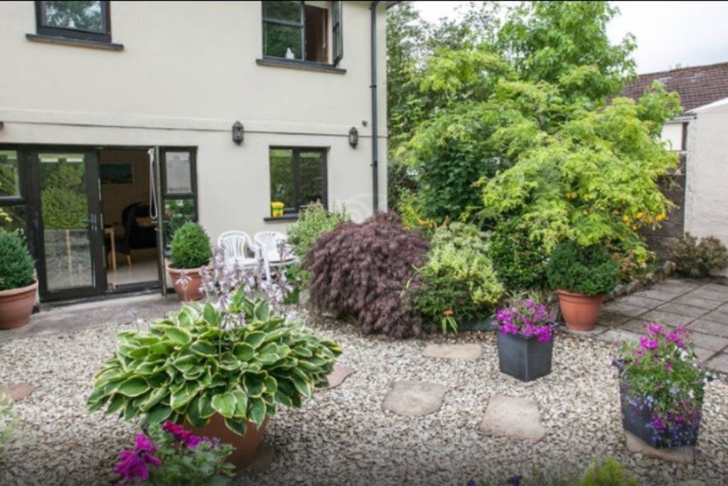 Back Garden