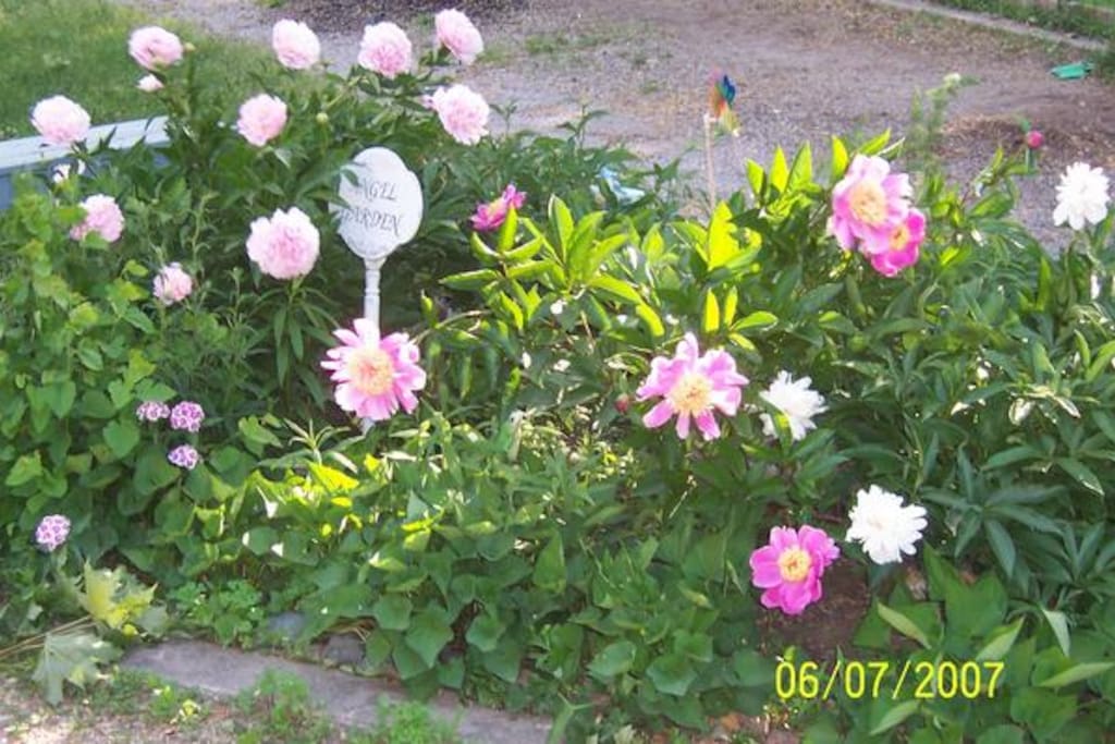 Flower Garden at Sweet Dreams Inn