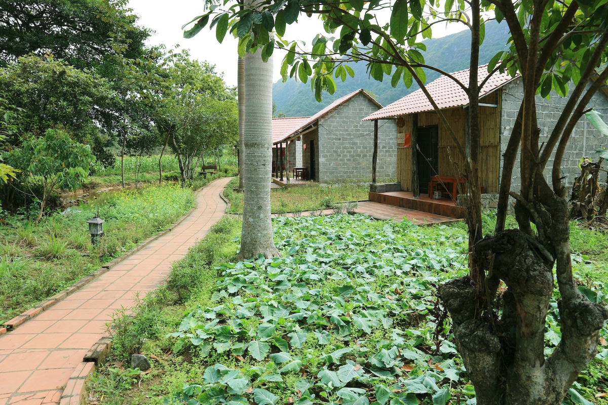 A winding pathway is surrounded by lush greenery and vegetation, leading past stone and wooden bungalows with red roofs. An area of soft grass and large leaves is visible, framed by trees that enhance the natural setting.