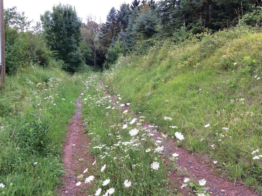 Weg zum Haus