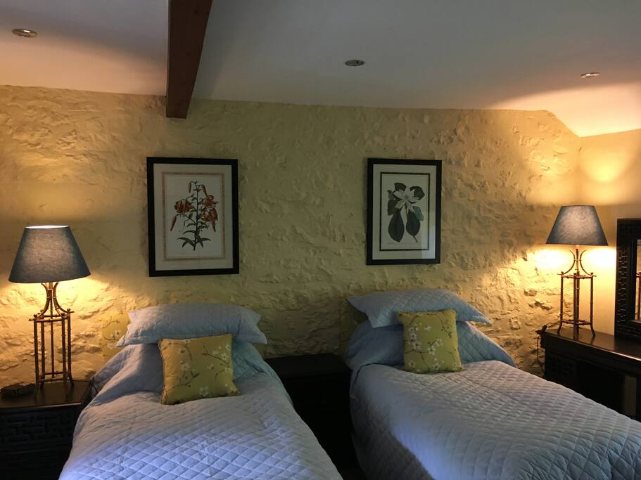 Twin Room with shower