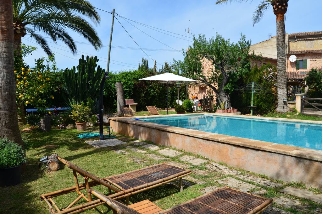 Another view of the garden and pool