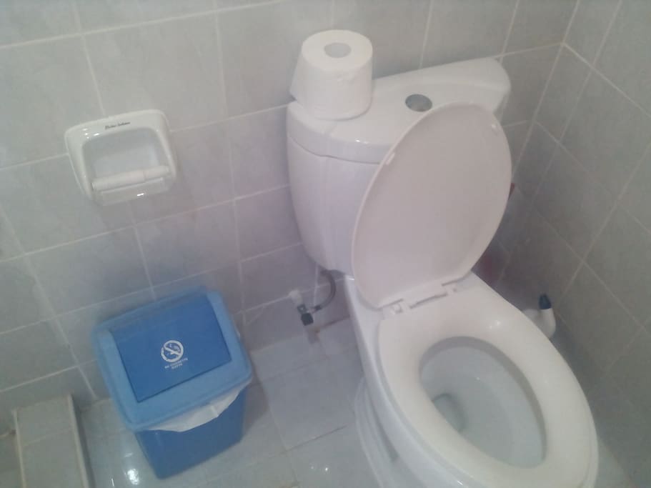 THE TOILET