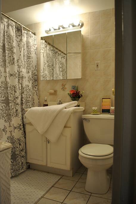 Complete with bath towels, toilet paper and hand soap