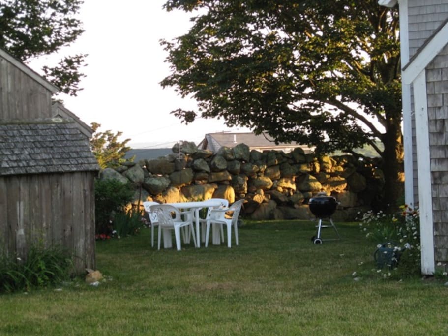 The garden