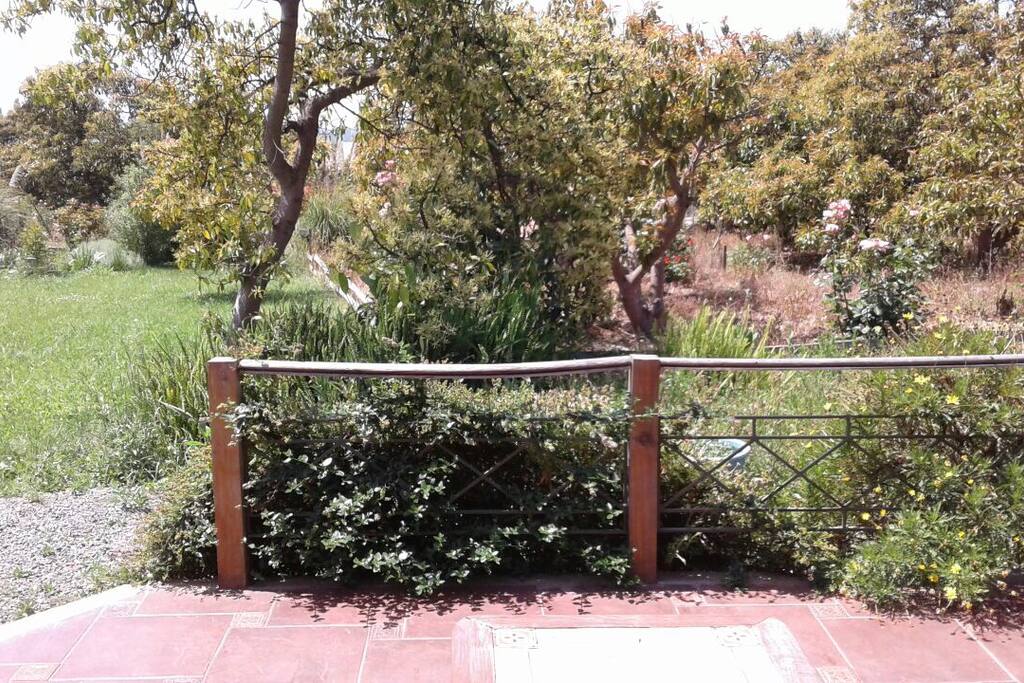 vista desde la terraza