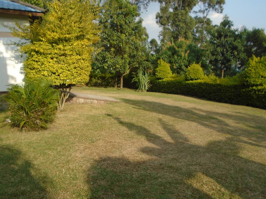 More space for group activities and outdoor events.